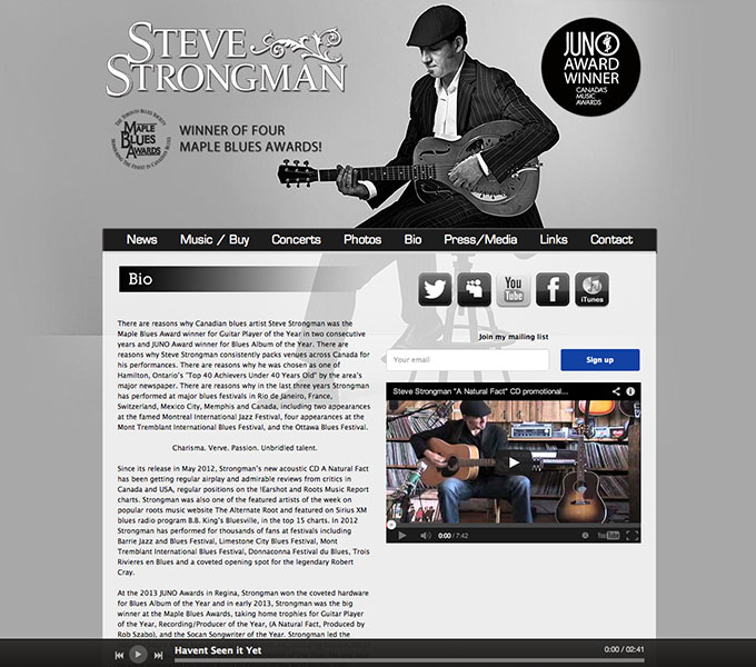 Steve Strongman Website page example