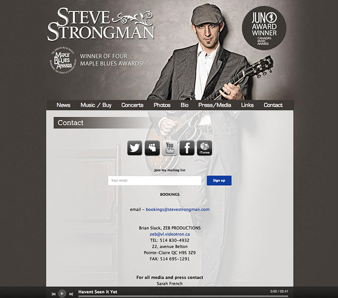 Steve Strongman Website page example
